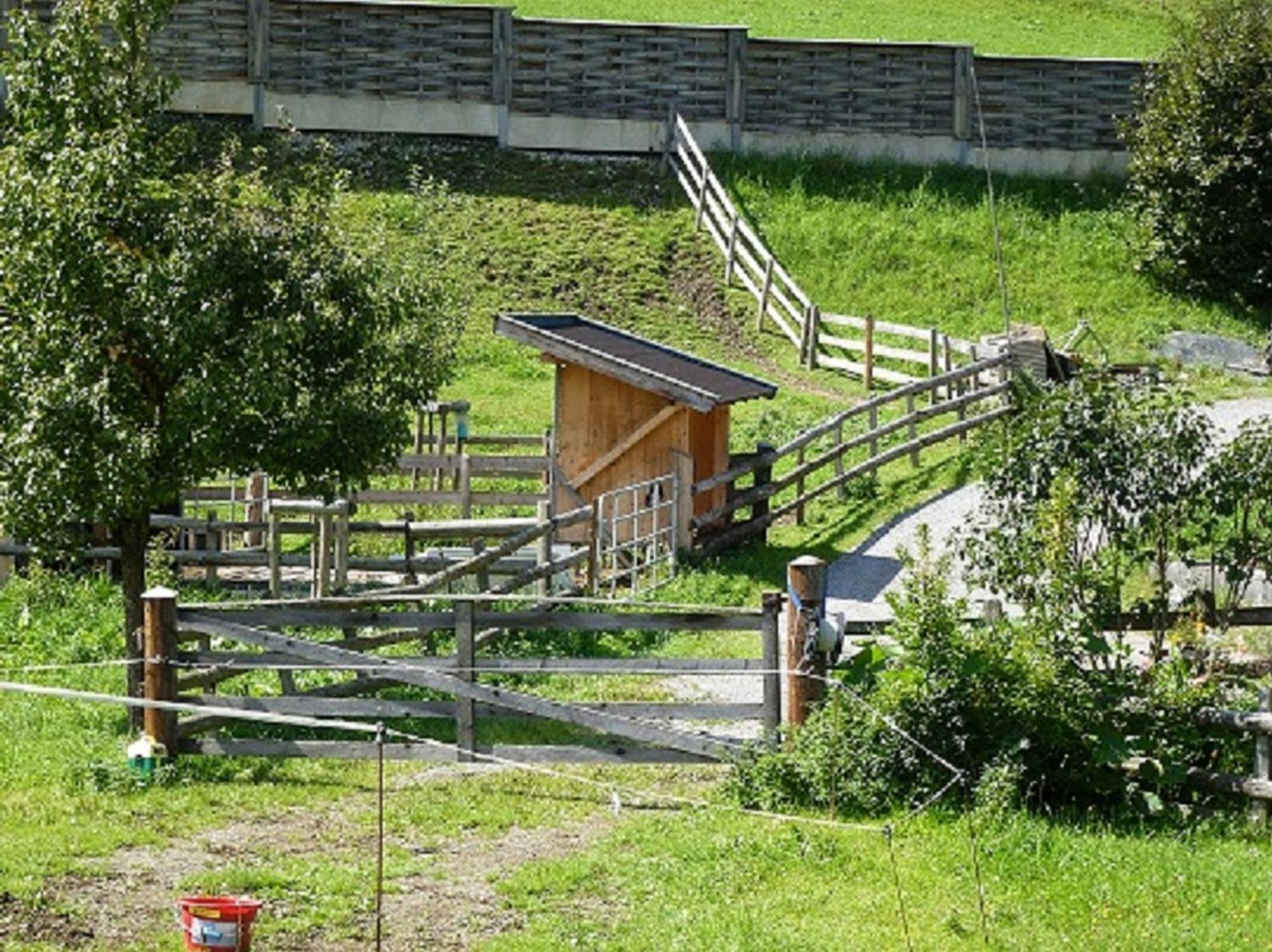 Wiesingbauer Saalfelden Bagian luar foto