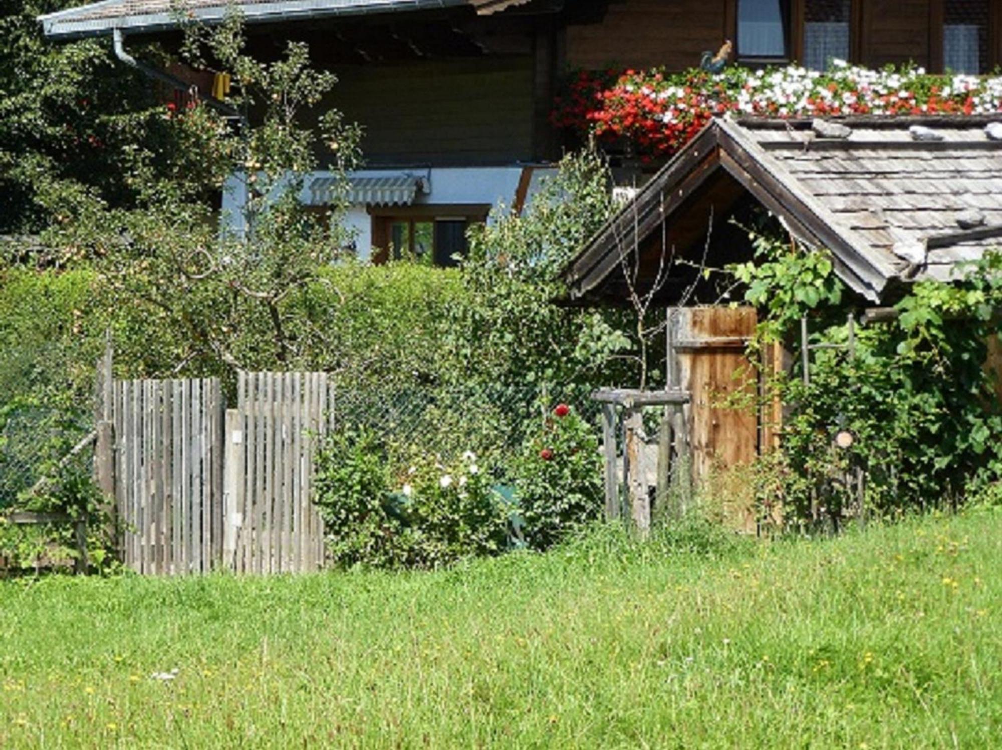 Wiesingbauer Saalfelden Bagian luar foto